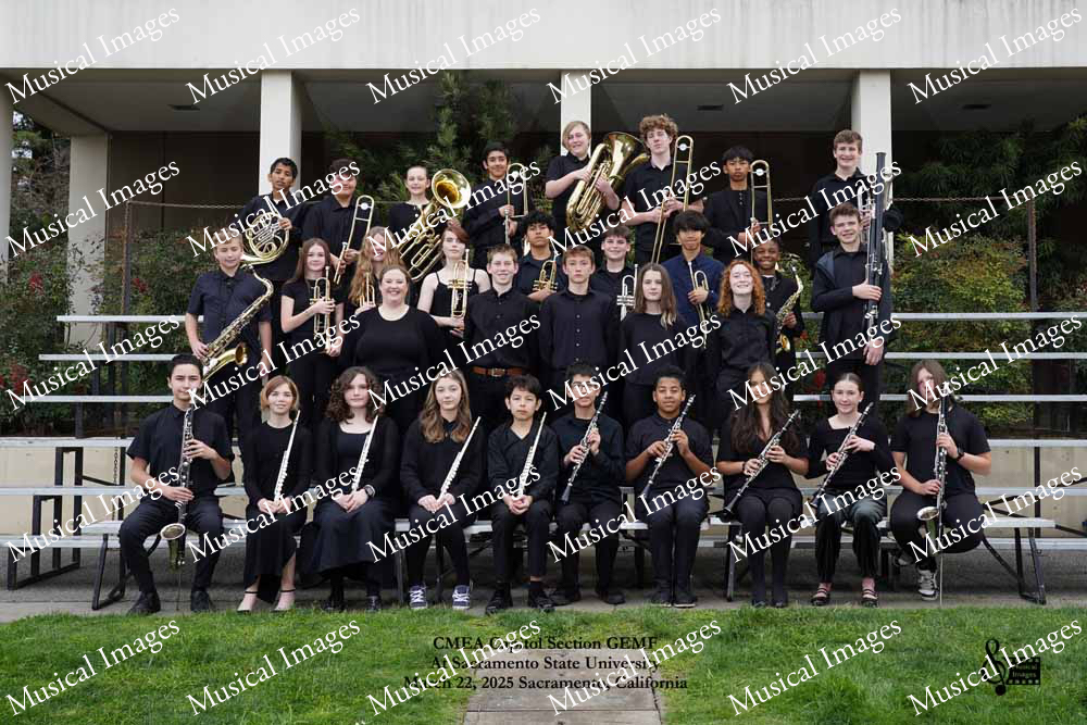 Musical Images